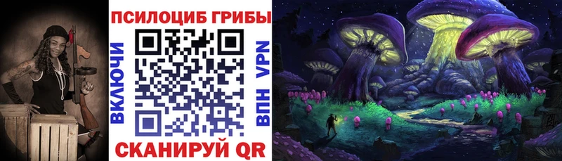 Купить закладки  Сычёвка  Псилоцибиновые грибы ЛСД 